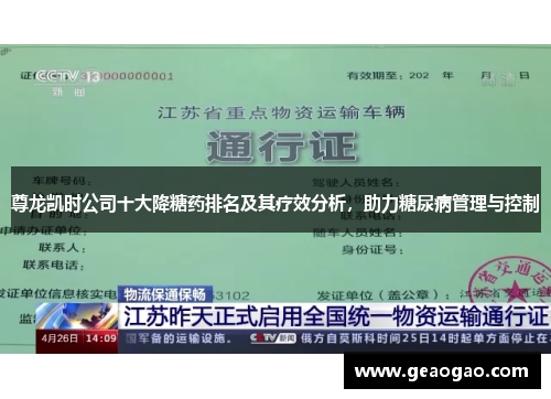 尊龙凯时公司十大降糖药排名及其疗效分析，助力糖尿病管理与控制