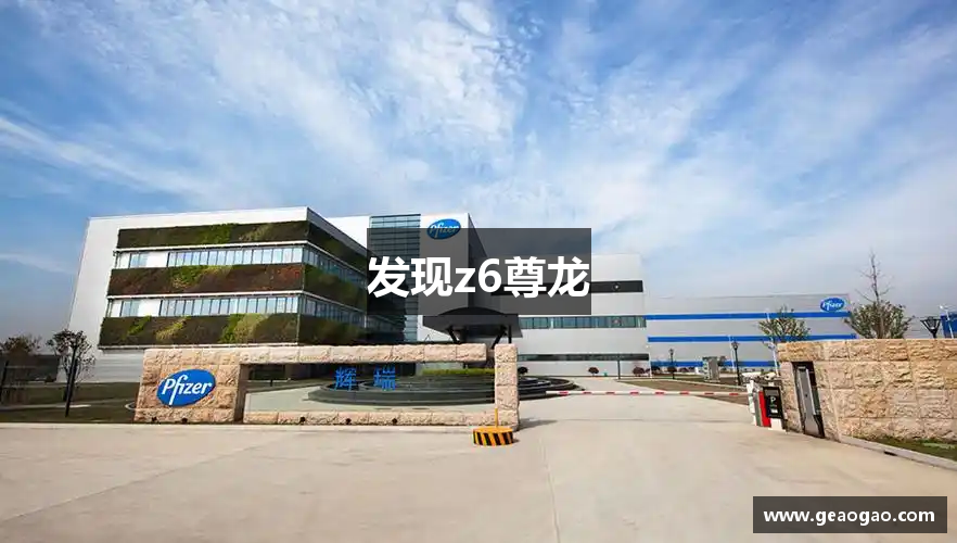 发现z6尊龙
